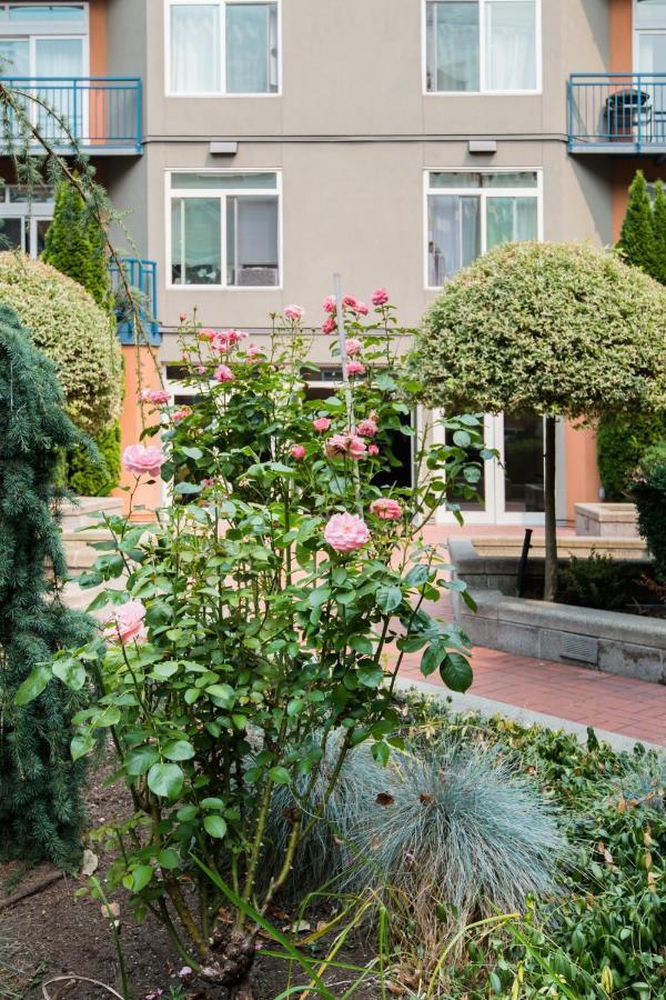 City Water View Oasis With Pool & Gym Near Cruise In Heart Of Seattle Zewnętrze zdjęcie